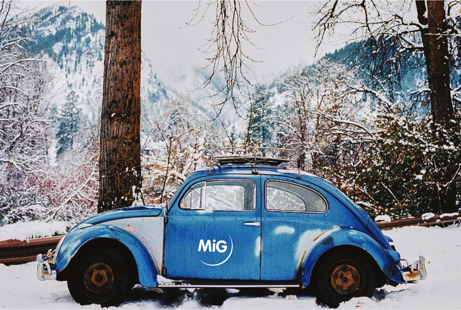 Volkswagen Beetle in the Snow - Maxwell Monty