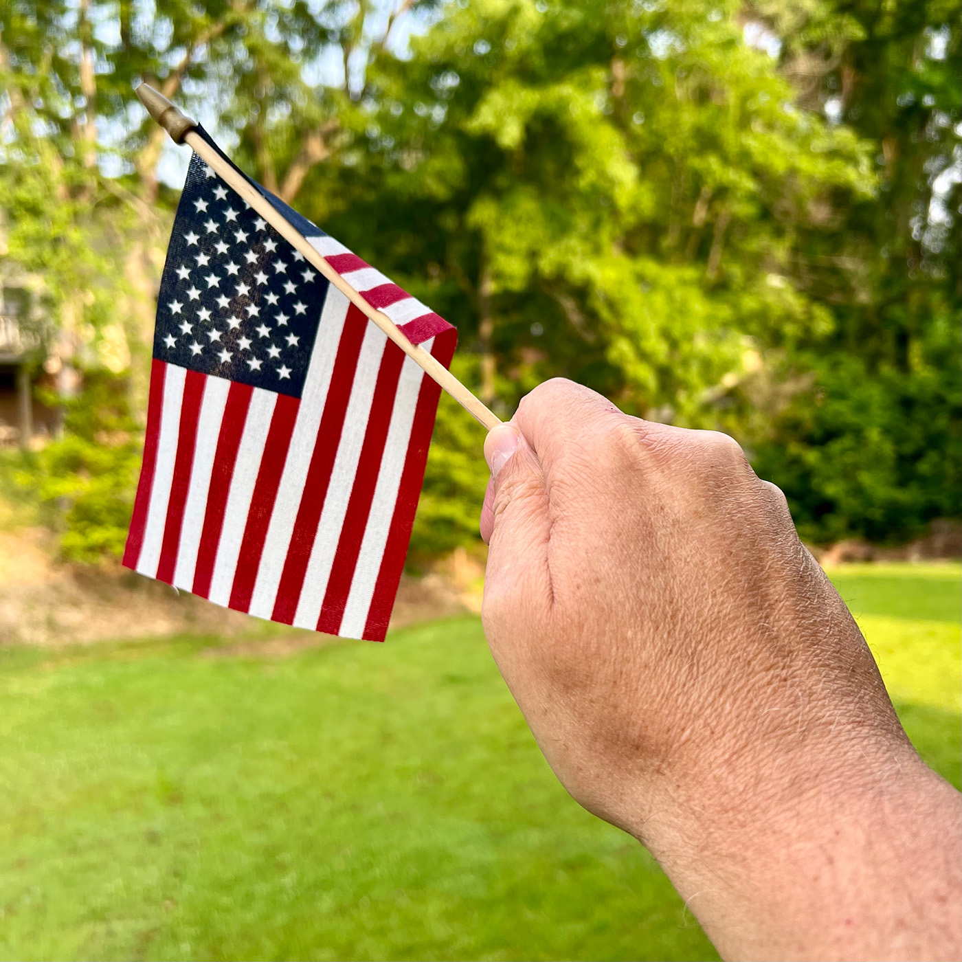 Hand with U.S. flag